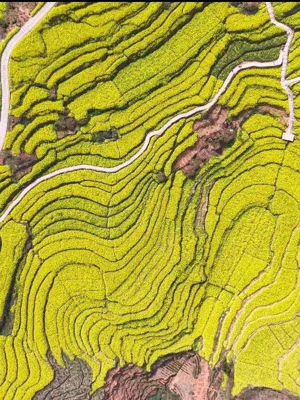 8-Day Chengdu-Leshan Detailed Travel Guide - Save It Now!