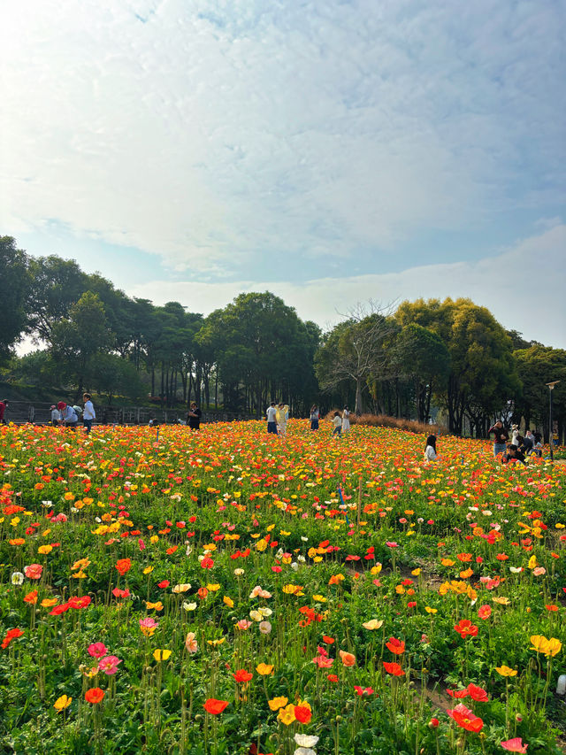 地鐵直達｜佛山賞花一日遊攻略