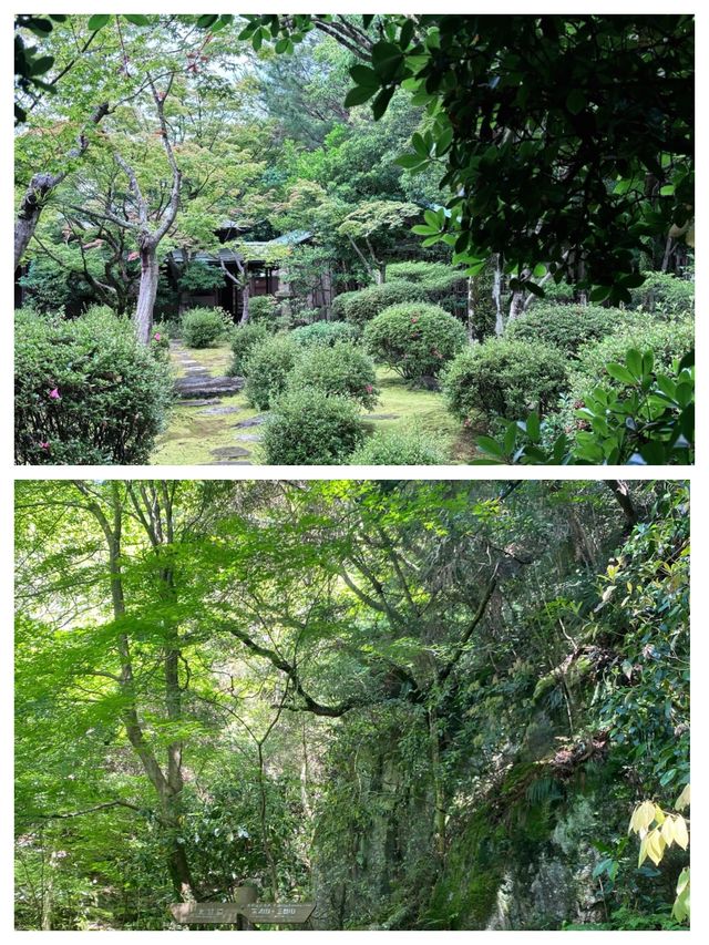 探索福岡：邂逅東洋的溫暖港灣