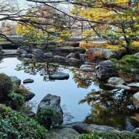 🌸闖入福岡大濠公園·日本庭園，邂逅和風雅韻