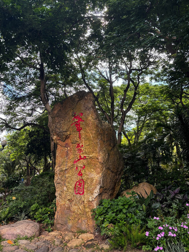 《筆架山公園的紫色奇蹟》