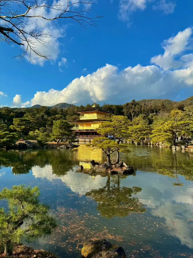 8-Day Japan Itinerary: Your Perfect Getaway for a Short Holiday
