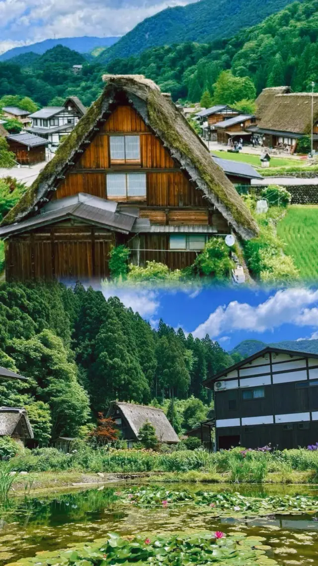 名古屋一個你可能覺得沉悶但又有很多美食的地方 ~