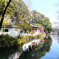 江南古典園林典範｜古猗園半日遊