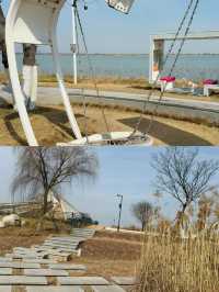 解鎖枝江金湖濕地公園，藏在湖北的生態寶藏