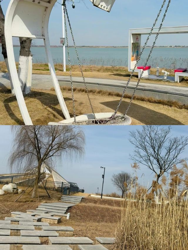 解鎖枝江金湖濕地公園，藏在湖北的生態寶藏