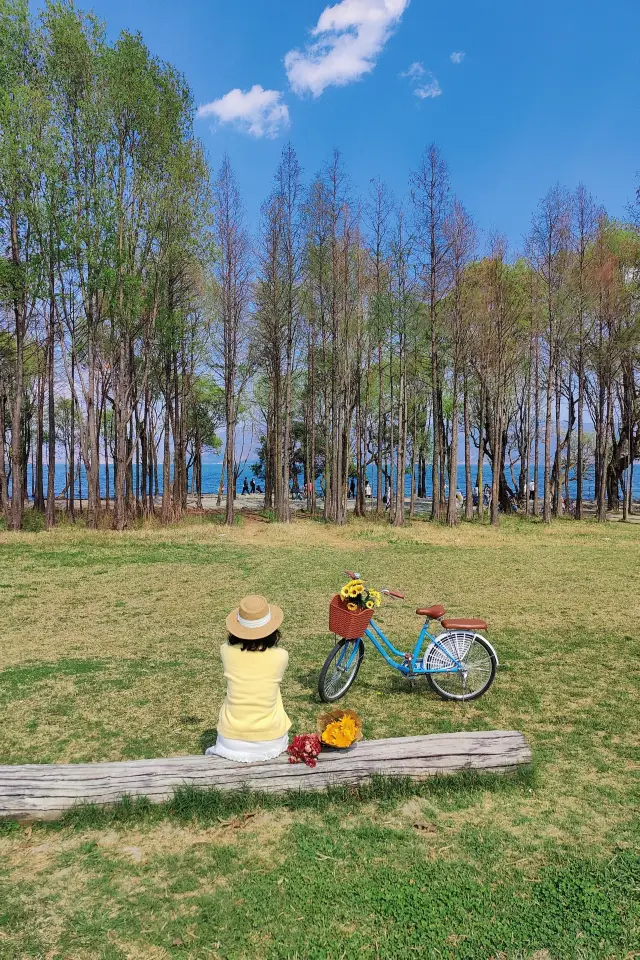 大理騎行洱海邊，欣賞人間三月的春景
