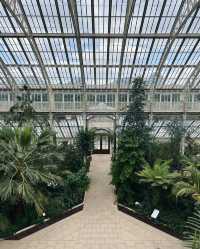 Discover the Royal Botanic Gardens, Kew