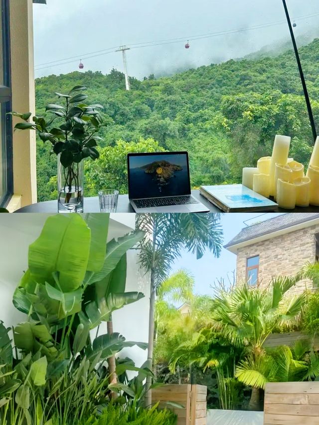 深圳!深圳北站!隱藏在海邊懸崖的椰林秘境!