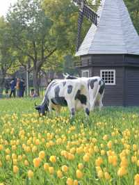 墜入花海！這個免費公園的含金量持續上升