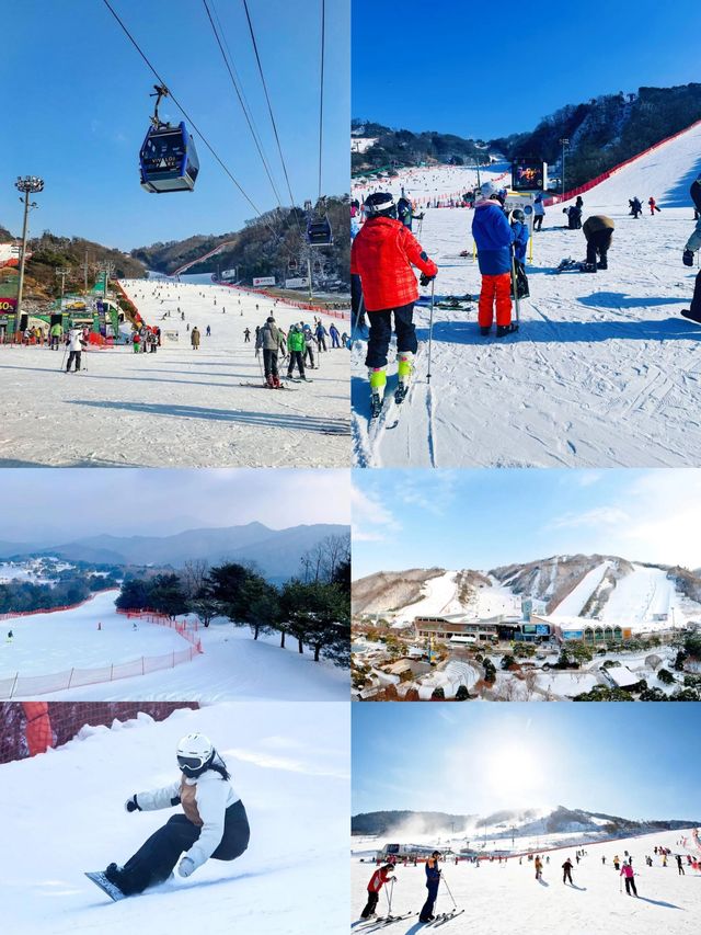 韓國洪川郡：小眾寶藏旅行地