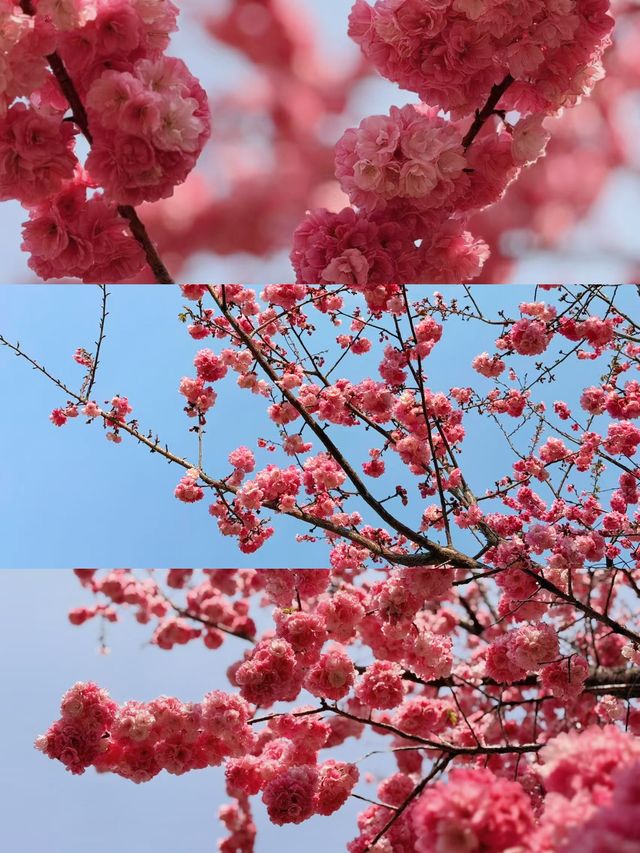 來昆明 放開野|快樂無邊的春日戶外之旅。