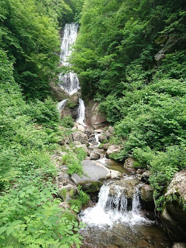 日本2日遊｜清明假期 玩轉日本正當時