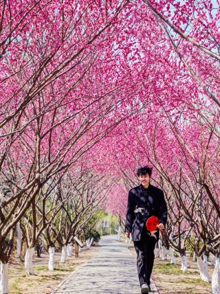 It's gorgeous! This is going to be Lianyungang's next top photo spot.