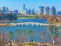 春天是逛公園的好時光～世博文化公園