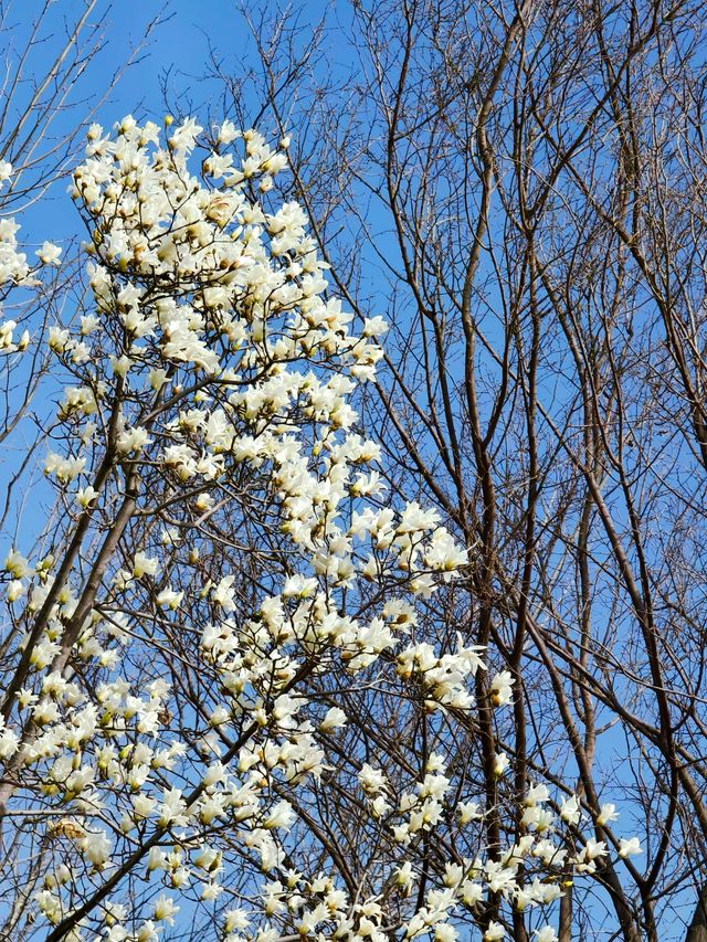 鄭州，滎陽有一個免費的適合「撒野」的公園