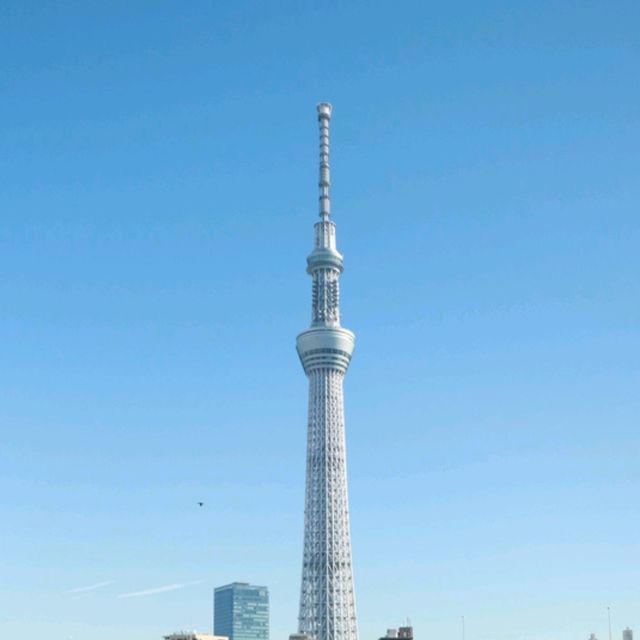 Tokyo Dreaming: From Fuji Views to Futuristic Vibes 🌸
