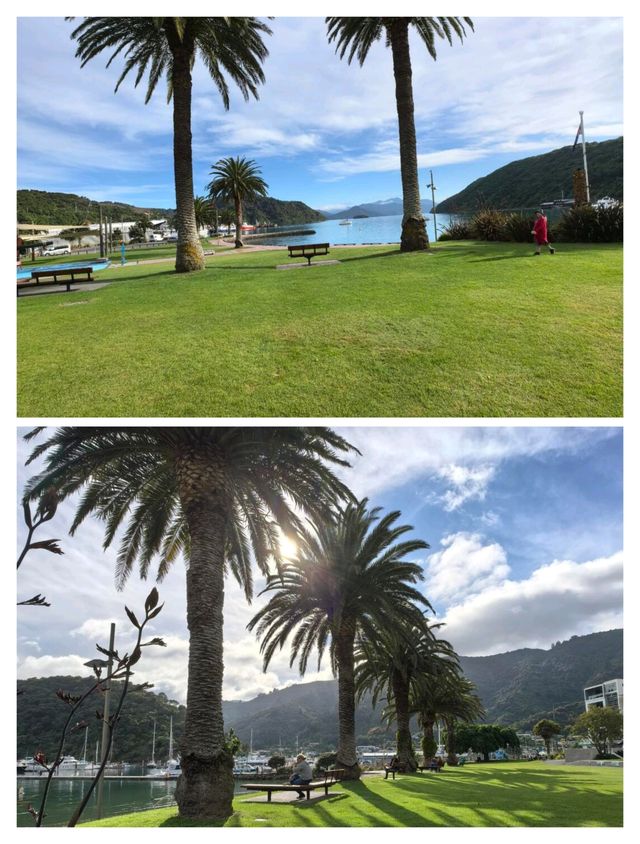 在新西蘭小眾寶藏地，邂逅皮克頓的浪漫與自由。