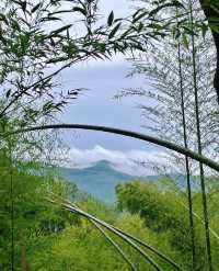 咸寧星星竹海風景區