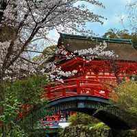 下鴨神社搶錢警報！輕鬆熊限定直接擊中我心❤️