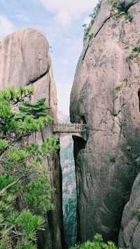 「黃山歸來不看嶽」