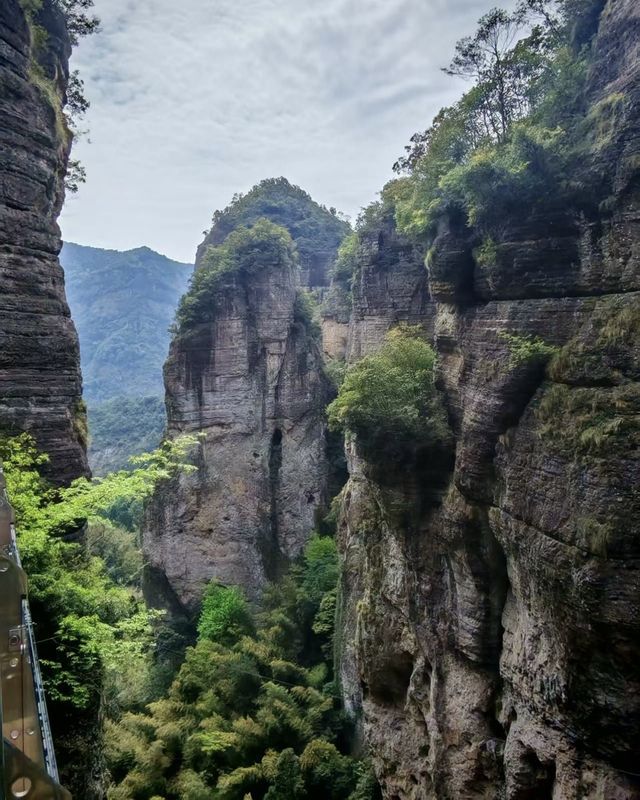 溫州漫遊指南：山海之間的溫柔邂逅～