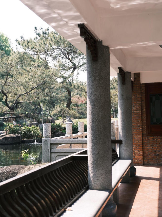 中山名樹園:城市中的自然瑰寶 中山名樹園:城市中的自然瑰寶