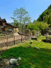 泰順！入住大自然感受慢生活啦。