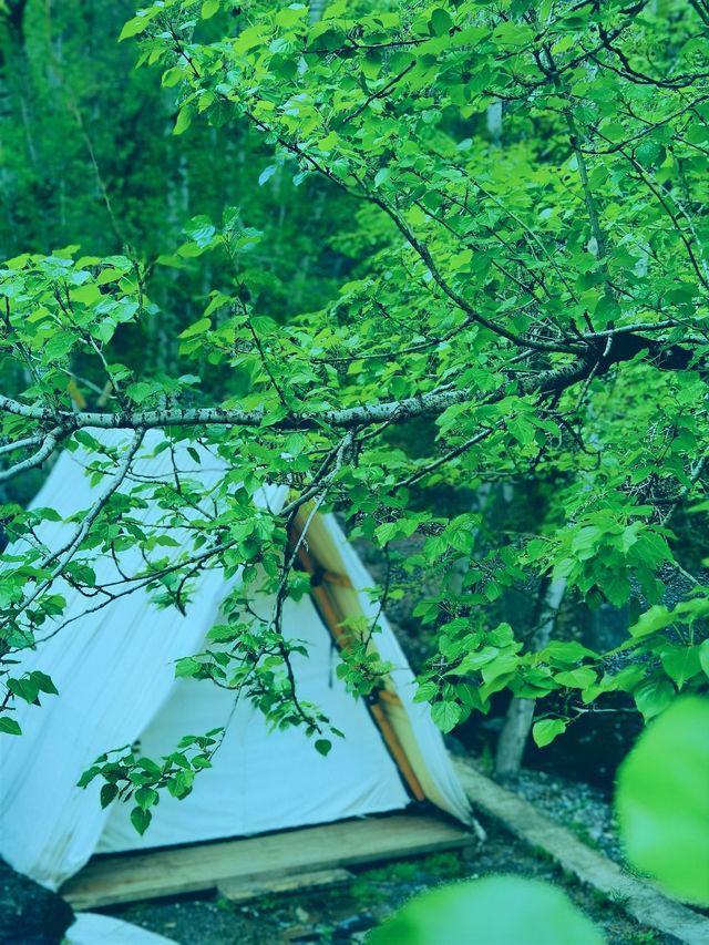 春雨洗禮，隱北•達摩民宿的綠野仙蹤
