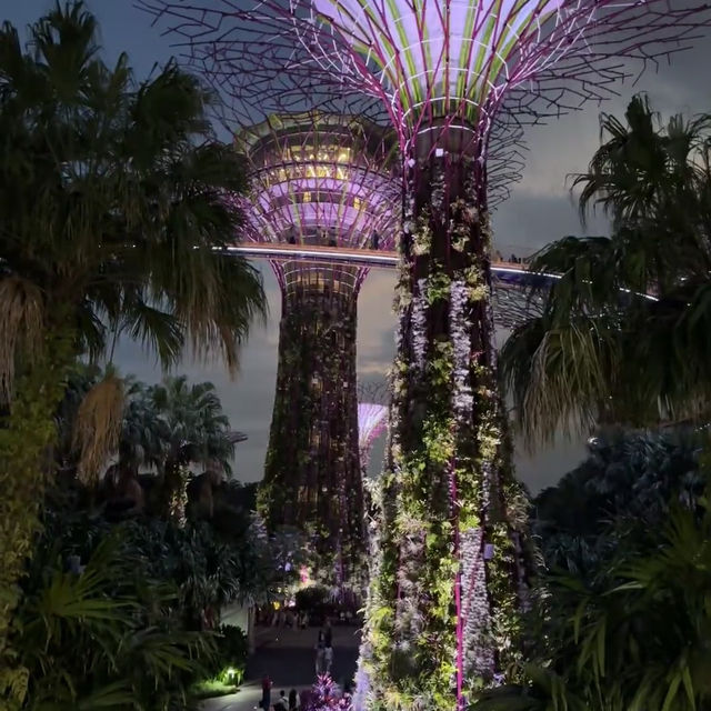 🇸🇬新加坡濱海灣花園保姆級行程｜沉浸式擁抱自然與科幻感💫