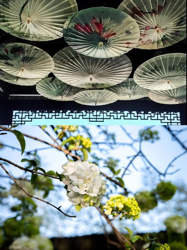五一去邊 | 來一場說走就走的觀潮之旅吧
