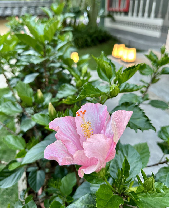 這裡不是瑞士，是廣西崇左明仕田園