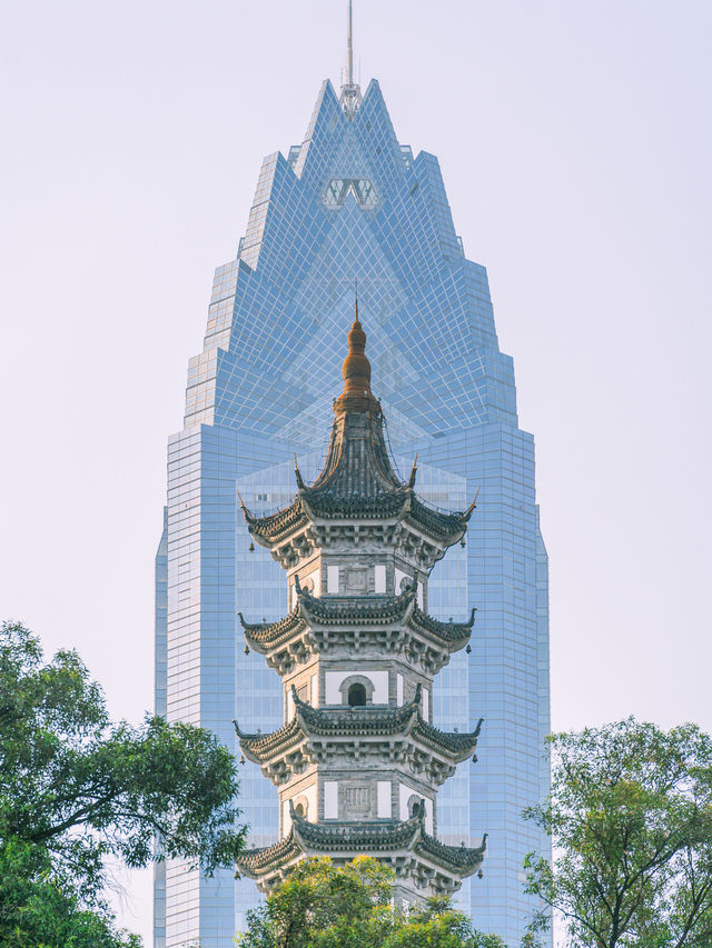 兩天一夜如何開啟五一溫州鹿城之旅？