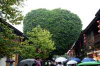 清明建築博物館–三坊七巷