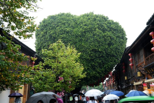 清明建築博物館–三坊七巷