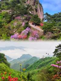 初夏之交，九華山保姆級禮佛祈福攻略