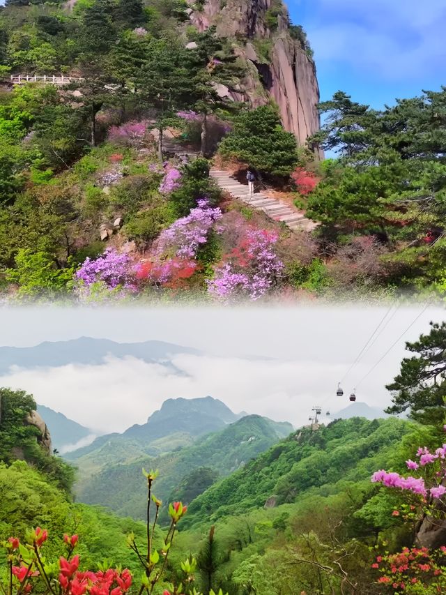 初夏之交，九華山保姆級禮佛祈福攻略