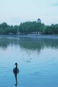 大興龐各莊，鄉村遛娃 | 吃瓜群眾已就位