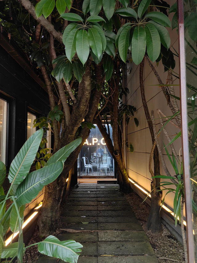 東京購物🛍️潮人必逛路線分享