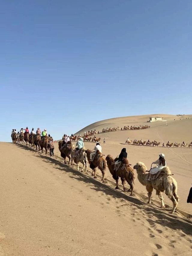 青甘旅遊｜保姆級避坑攻略，一篇搞掂