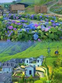 想在春天住進風景裡嗎