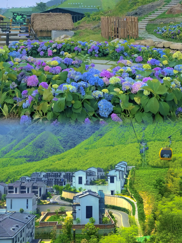 想在春天住進風景裡嗎