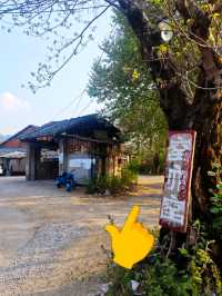 七天行完景德鎮所有市集，發現呢度性價比最高