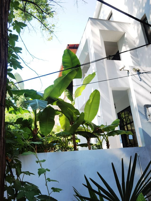 武漢人都唔知嘅文藝小城——東湖大李村