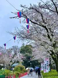 東京飛鳥公園交通攻略：輕鬆抵達都市綠洲