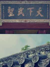 端午佳節，邂逅關陵古韻