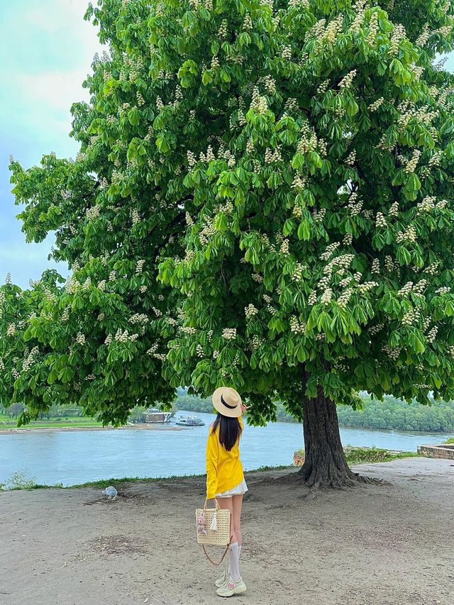 塞爾維亞，一個一見鍾情的旅遊聖地