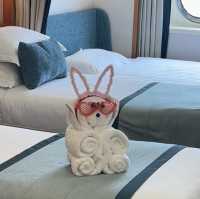 海上烏托邦 · 鼓浪嶼號之旅圓滿結束🛳️