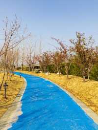 端午小長假 郑州等地5日遊全攻略