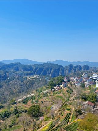 Cloud Sea Tea Garden Ancient Village｜Xiayanbei Village Light Hiking